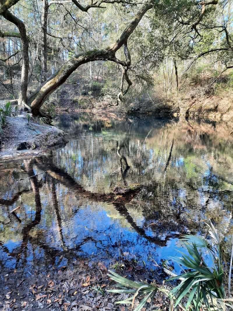 The Vanishing Act Of Fisher Creek