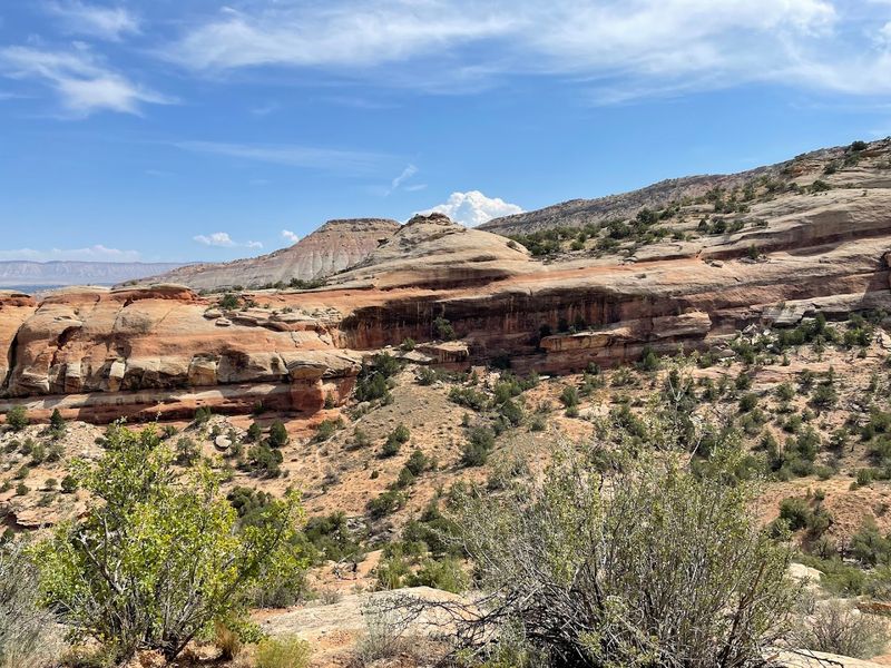 McKee Draw Hiking Trails - Burn Canyon Trail System, Near Norwood