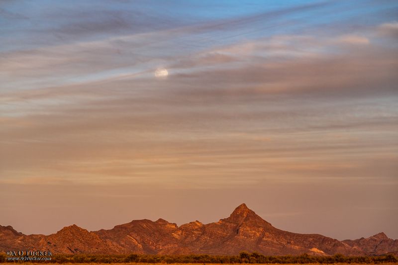 Big Horn Mountains Wilderness, Western Arizona