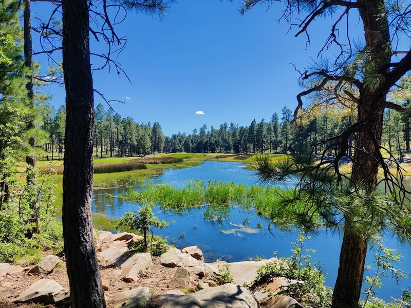 Big Lake, Apache-Sitgreaves National Forests, Arizona Big Lake, Apache-Sitgreaves National Forests, Arizona