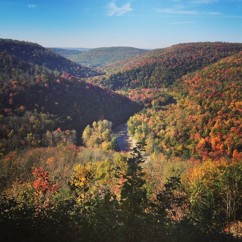 Loyalsock Canyon Vista, Worlds End State Park, Sullivan County, Pennsylvania