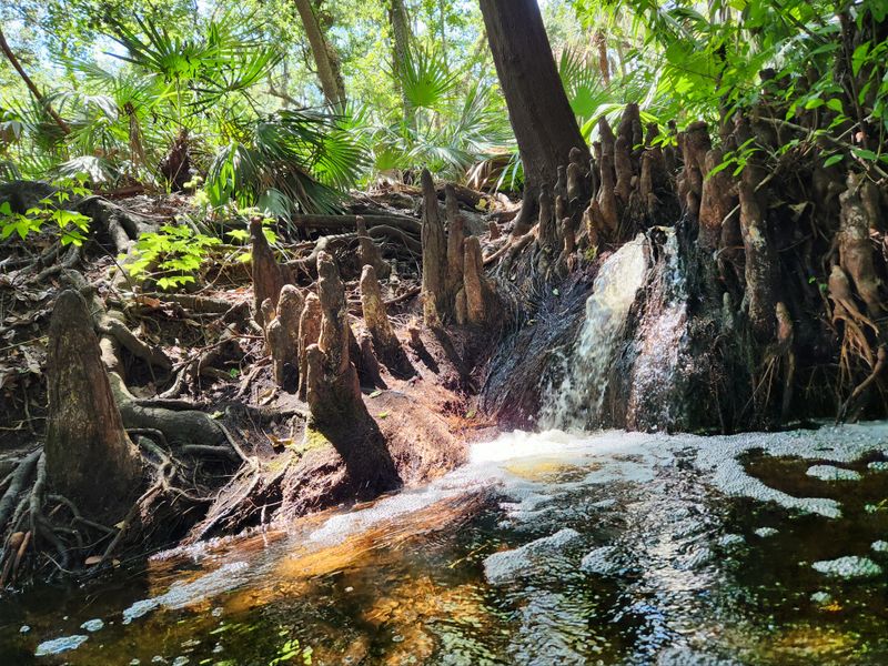 Boonie Falls - Oviedo (Little Big Econ State Forest)