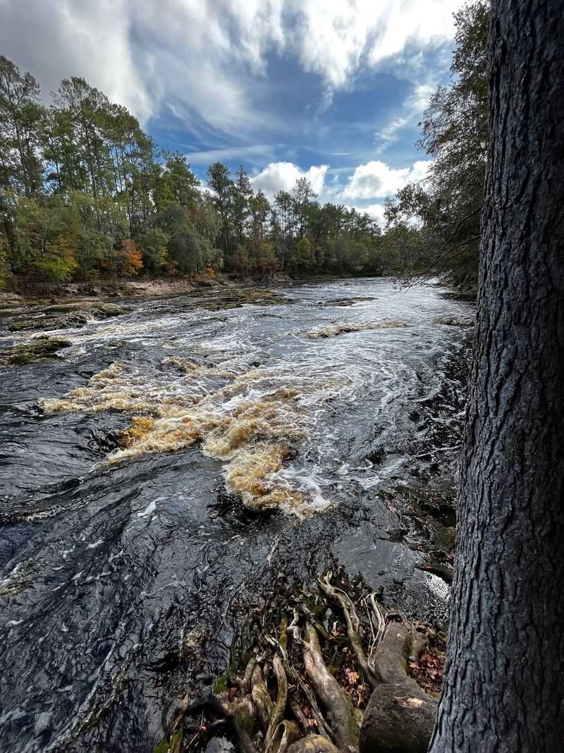 Big Shoals Trail — Big Shoals State Park, White Springs