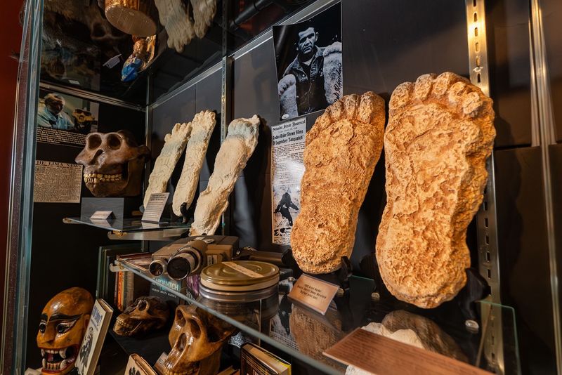 Bigfoot Fans, Your Evidence Room Is Waiting Bigfoot Fans, Your Evidence Room Is Waiting