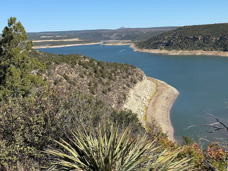 Bighorn Sheep, Open Sky, And A Landscape That Puts Things In Perspective