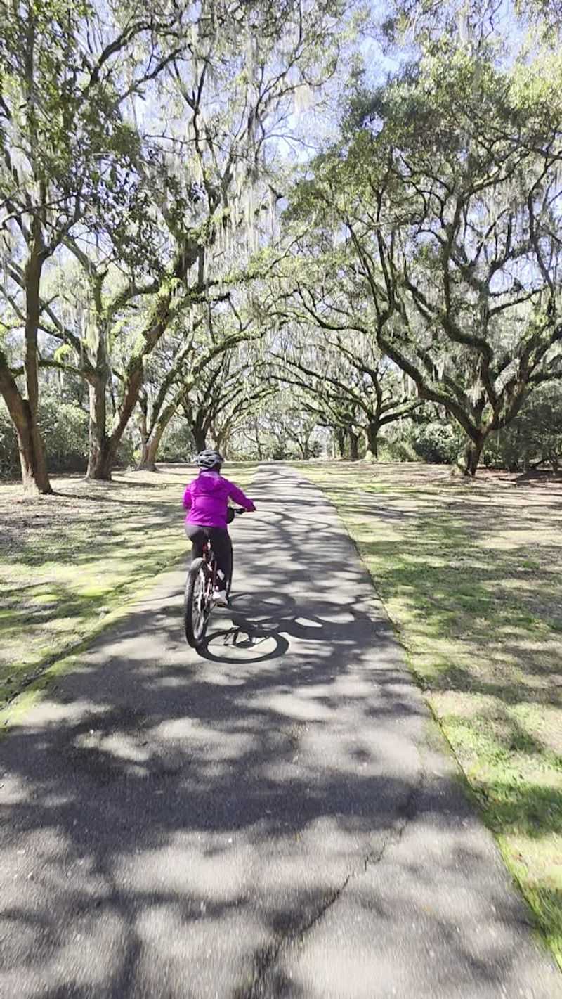 Bike-Friendly Trails Offer Alternative Exploration