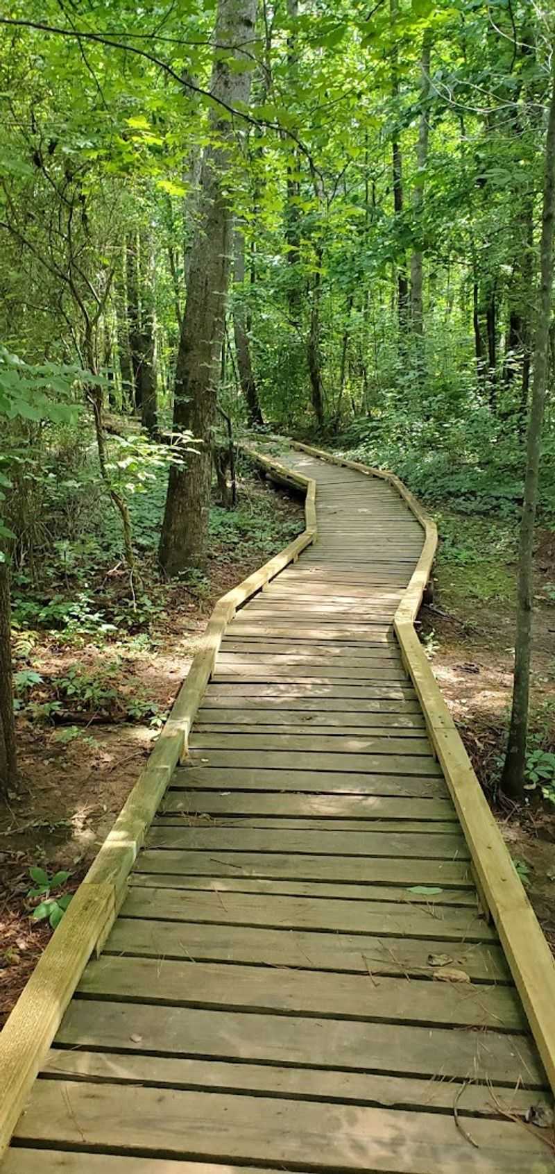 Navigation Tips And Trail Signage