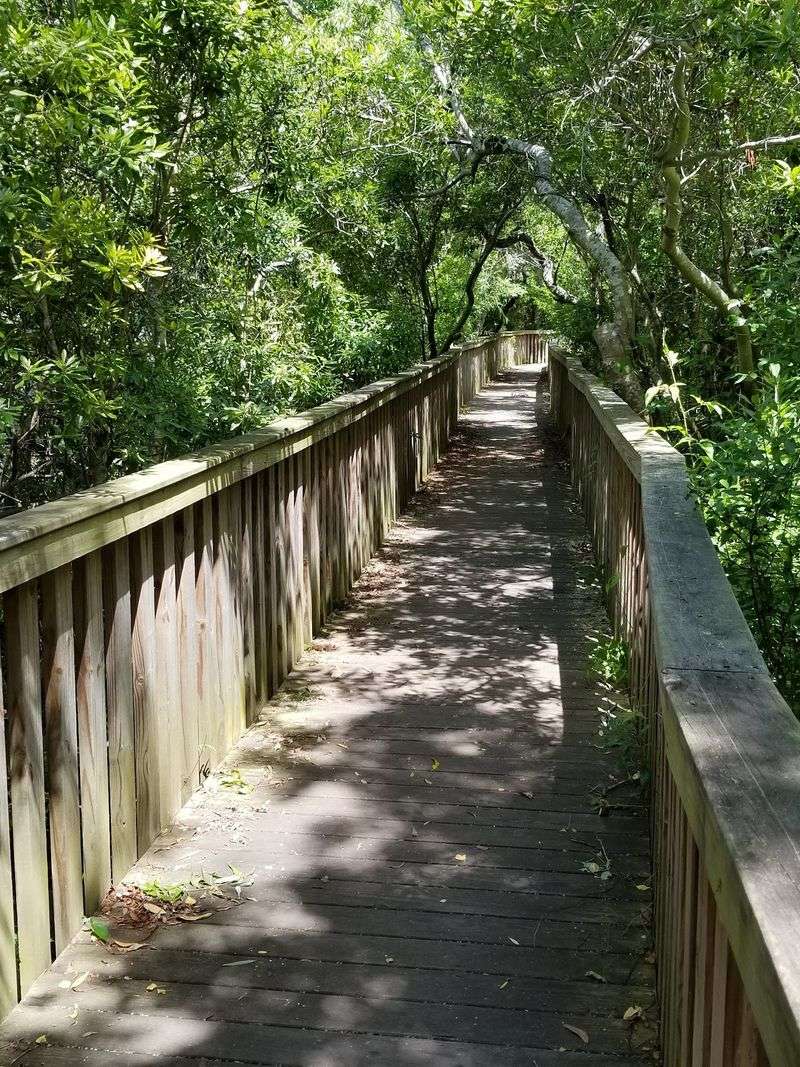 Bikes Rule The Road On These Shady Island Pathways Bikes Rule The Road On These Shady Island Pathways