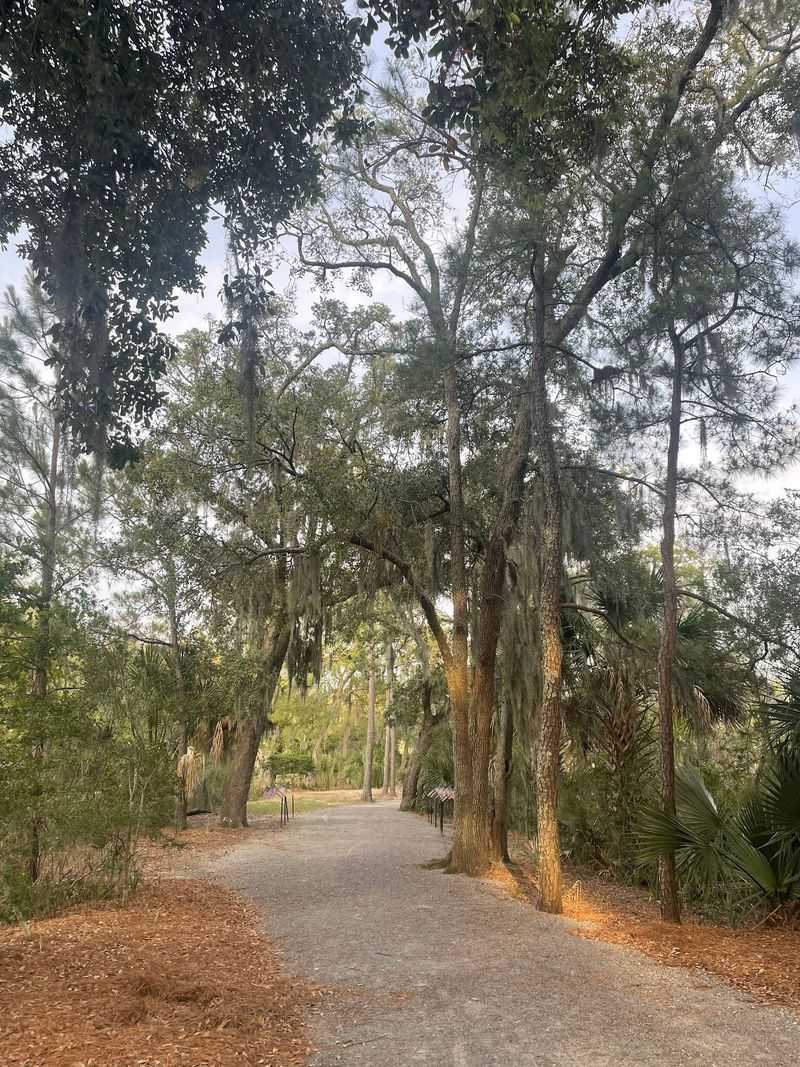 Biking Is The Best Way To Experience The Island