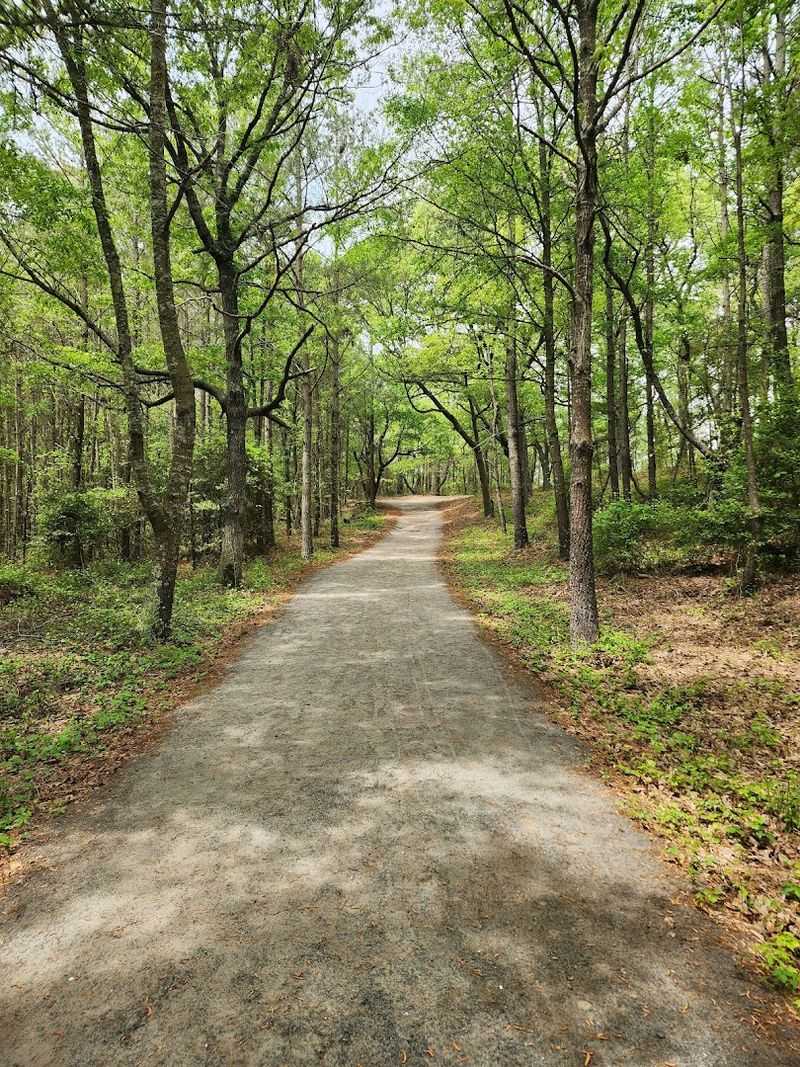 Biking Through The Refuge Trails