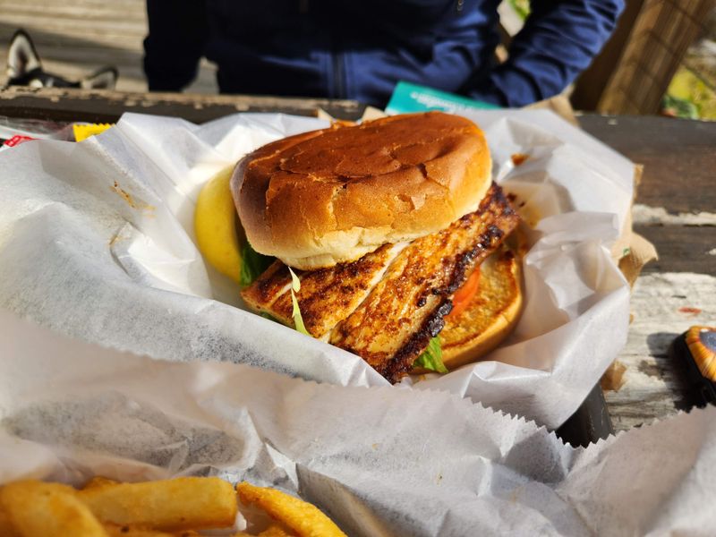 Sebastian Inlet State Park — BG's Surfside Grill / Surfside Concessions