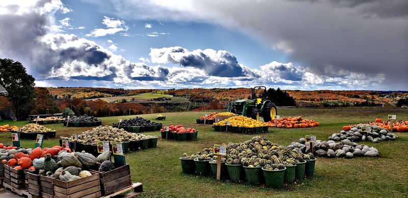 Bill's Farm Market