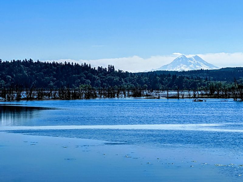 Billy Frank Jr. Nisqually National Wildlife Refuge, Olympia Billy Frank Jr. Nisqually National Wildlife Refuge, Olympia