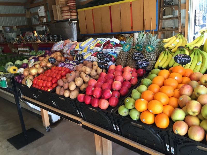 Bins Of Fruit That Make Supermarket Shelves Look Tired