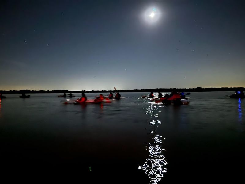 Bioluminescence Is Created By Tiny Living Organisms