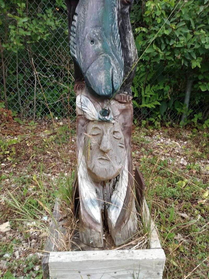 Birch Bark Walls Turn A Souvenir Run Into Something Special