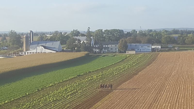 Railway Whistle From The Strasburg Line