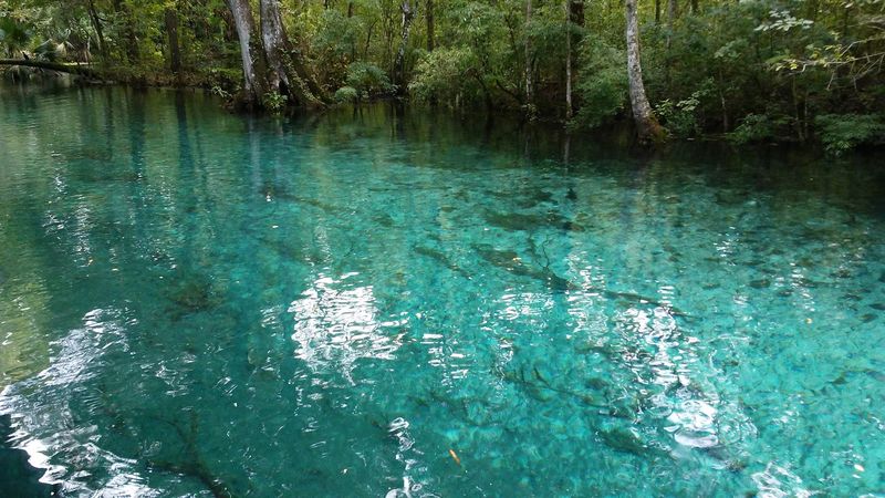 The Best Launch Point Tip Locals Actually Share