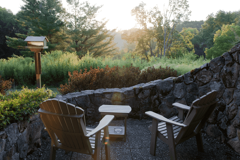 Bird Watching And The Small Pleasures Of The Property Bird Watching And The Small Pleasures Of The Property