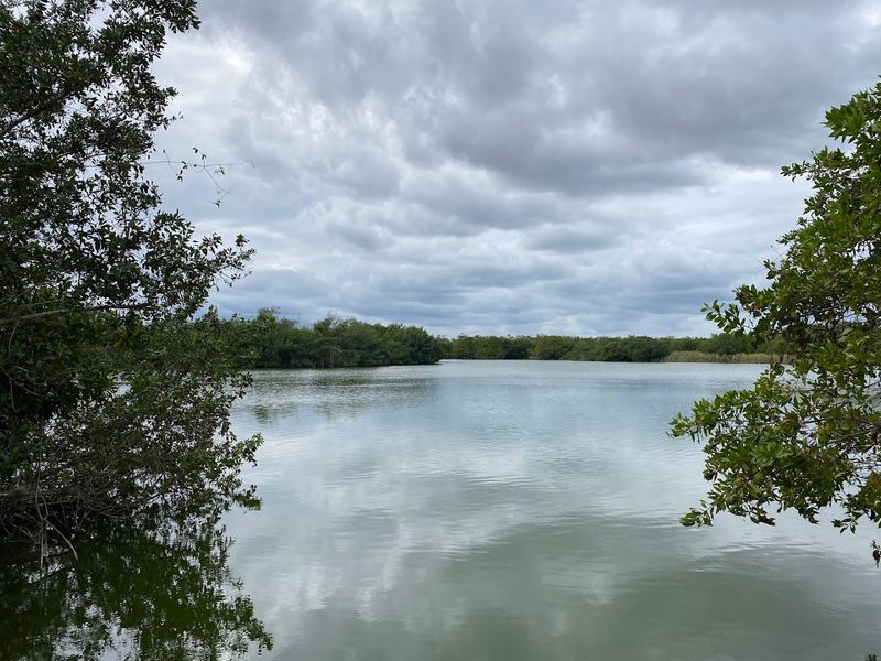 Sunsets And Golden Hour Magic