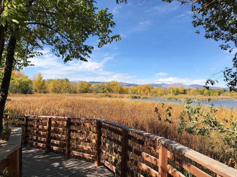 Bird Watching Opportunities That Rival Dedicated Birding Preserves Bird Watching Opportunities That Rival Dedicated Birding Preserves
