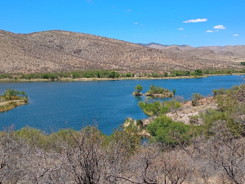 Hiking Trails With Views That Reward Every Step