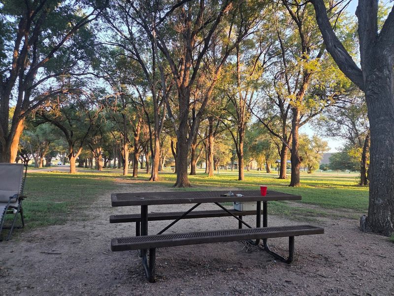 Camping Options That Actually Give You Room to Breathe