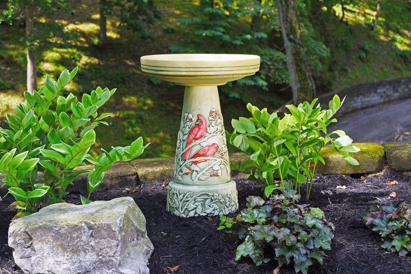 Birdbaths That Outlast The Birds Using Them