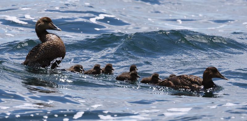 Birders Know This Secret Birders Know This Secret