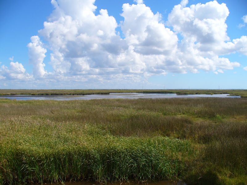 Birding Bliss Along Two Major Flyways