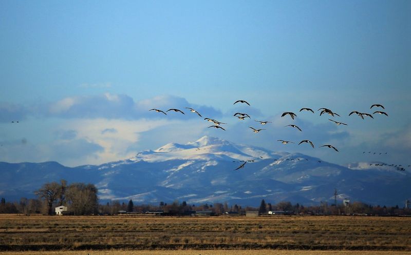 What The 15,000 Acres Actually Feel Like On The Ground