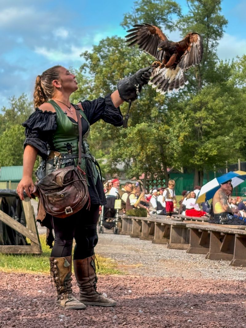 Birds Of Prey Show