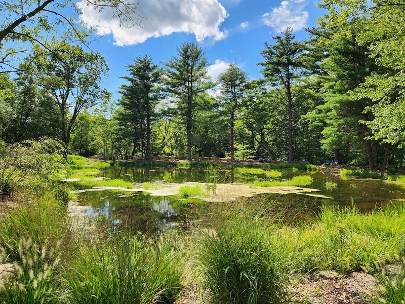 Wooded Trails That Reward The Curious