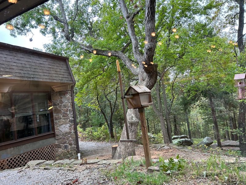 Southern Comfort Cooking In The Trees