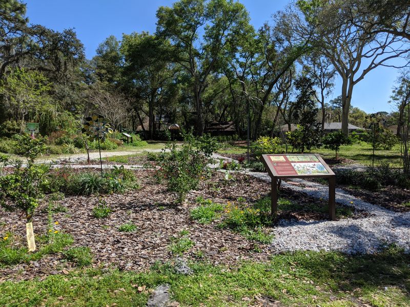 A Short, Sweet History Under The Trees