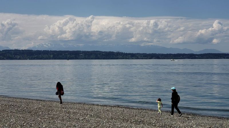 Birdwatching At One Of Seattle's Best Spots