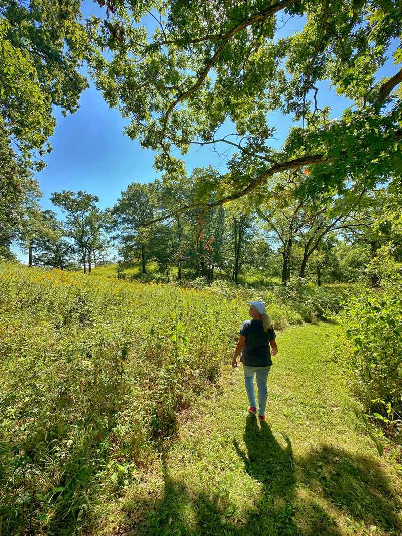 Walking The Mowed Trails