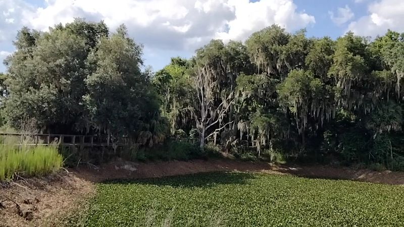 A Ride With Florida History
