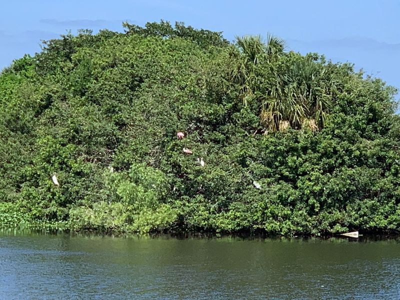 Birdwatching That Rivals A Nature Documentary