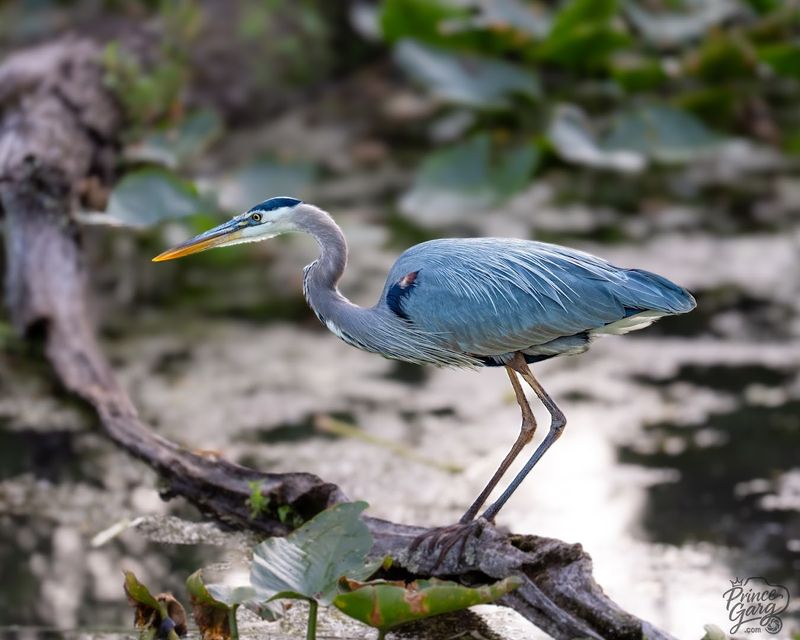 Photography Opportunities Around Every Bend