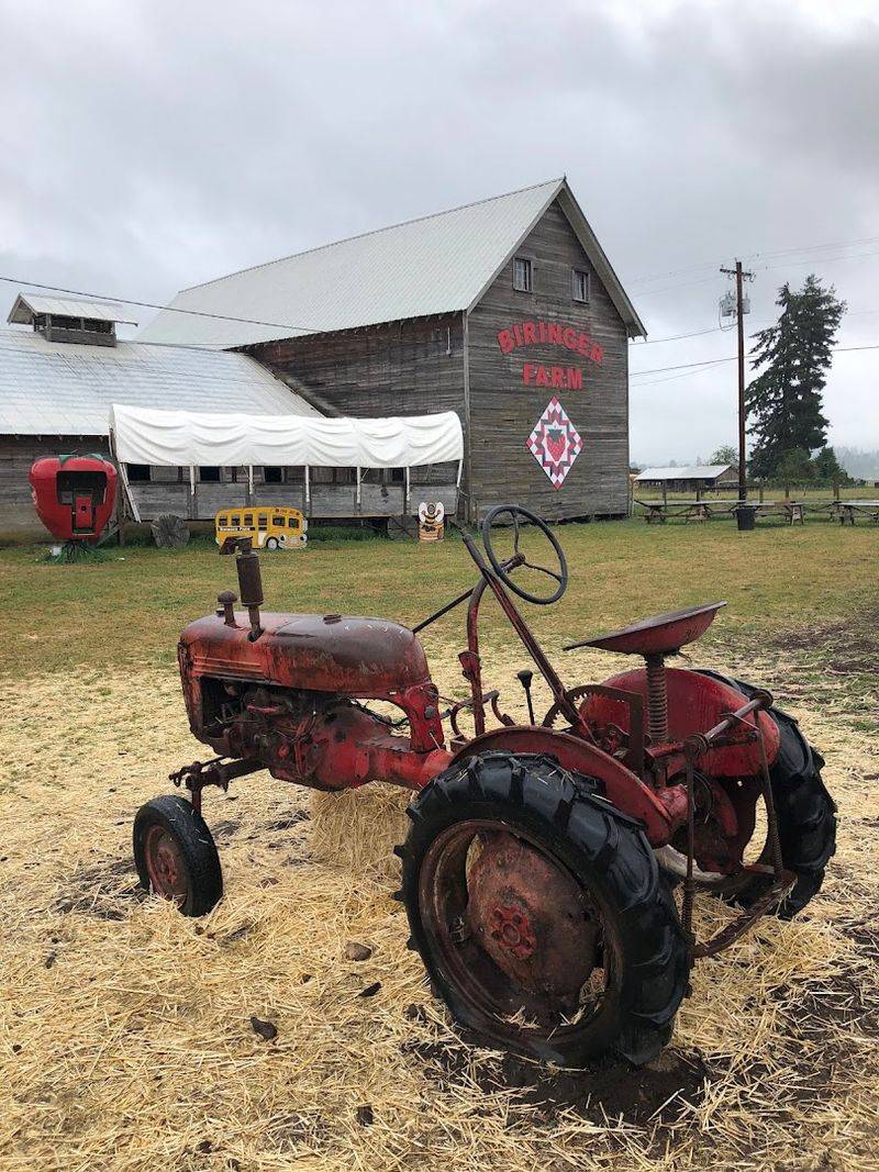 Biringer Farm, Arlington