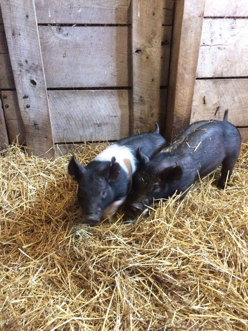 Clean Hands, Calm Minds