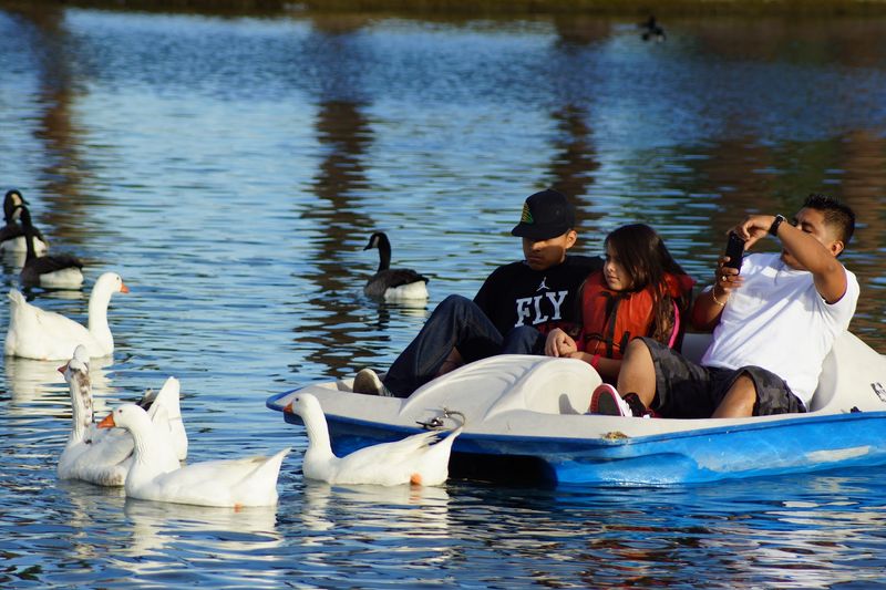 Pedal Boats And Splash Pad Adventures