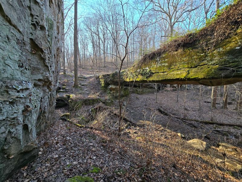 Pomona Natural Bridge Trail, Shawnee National Forest
