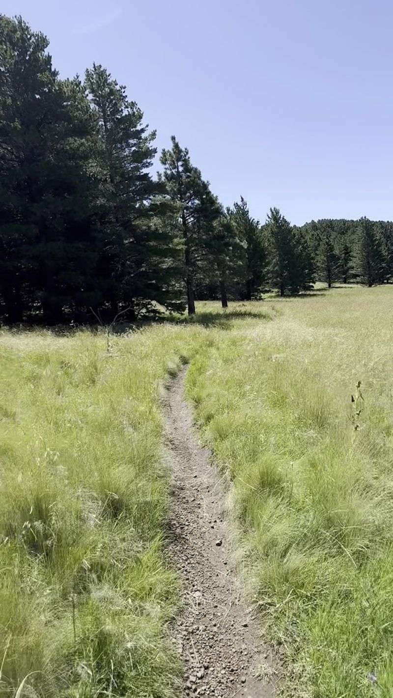 Bismarck Lake Trail No. 87HH, Flagstaff