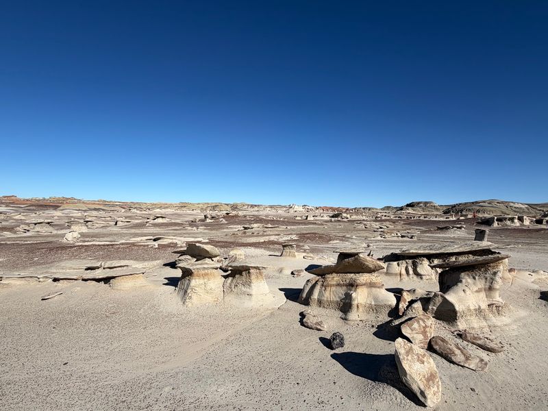 Bisti/De-Na-Zin Wilderness