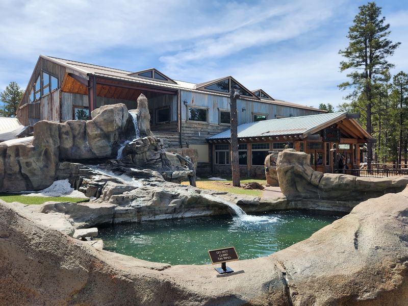 Bites and Souvenirs at Canyonlands Restaurant