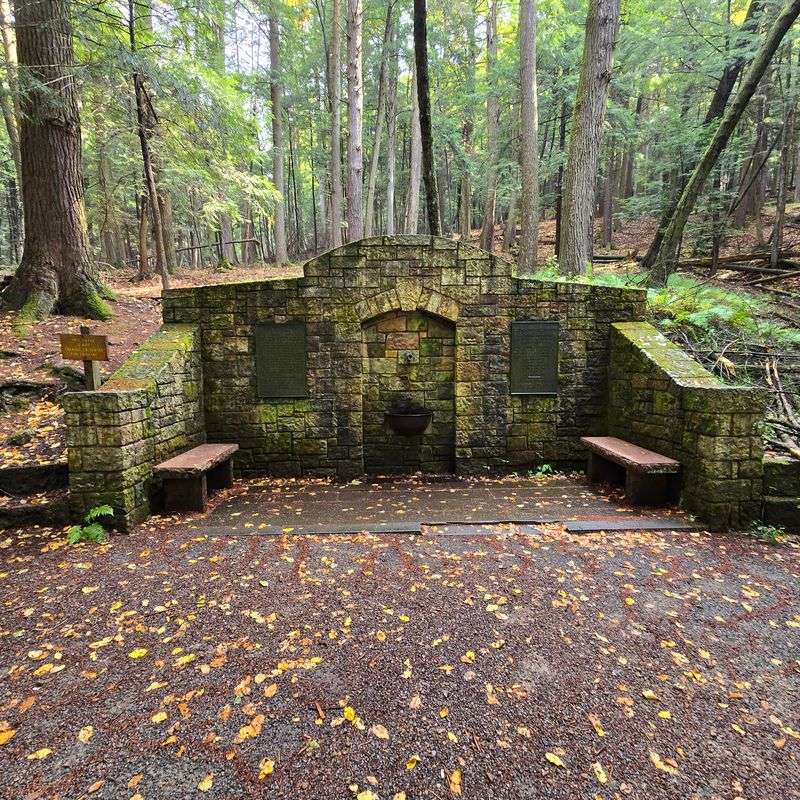 Black Bear Trail, Cook Forest State Park