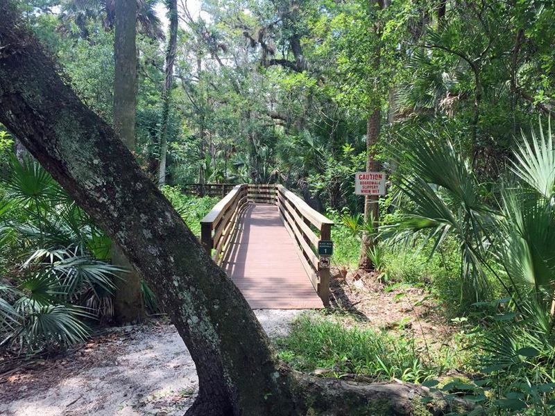 Black Bear Wilderness Area, Sanford