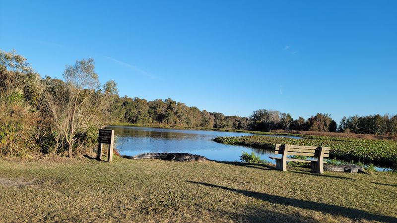Paynes Prairie Preserve State Park La Chua Trail, Micanopy, Florida